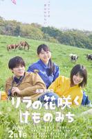 丁香花高清电影观看免费版