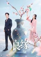 《天定良元》全集免费看